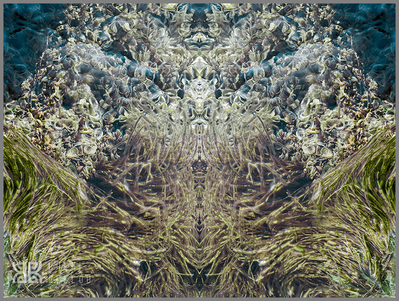 � Kalli Bellou / www.kallibellou.com